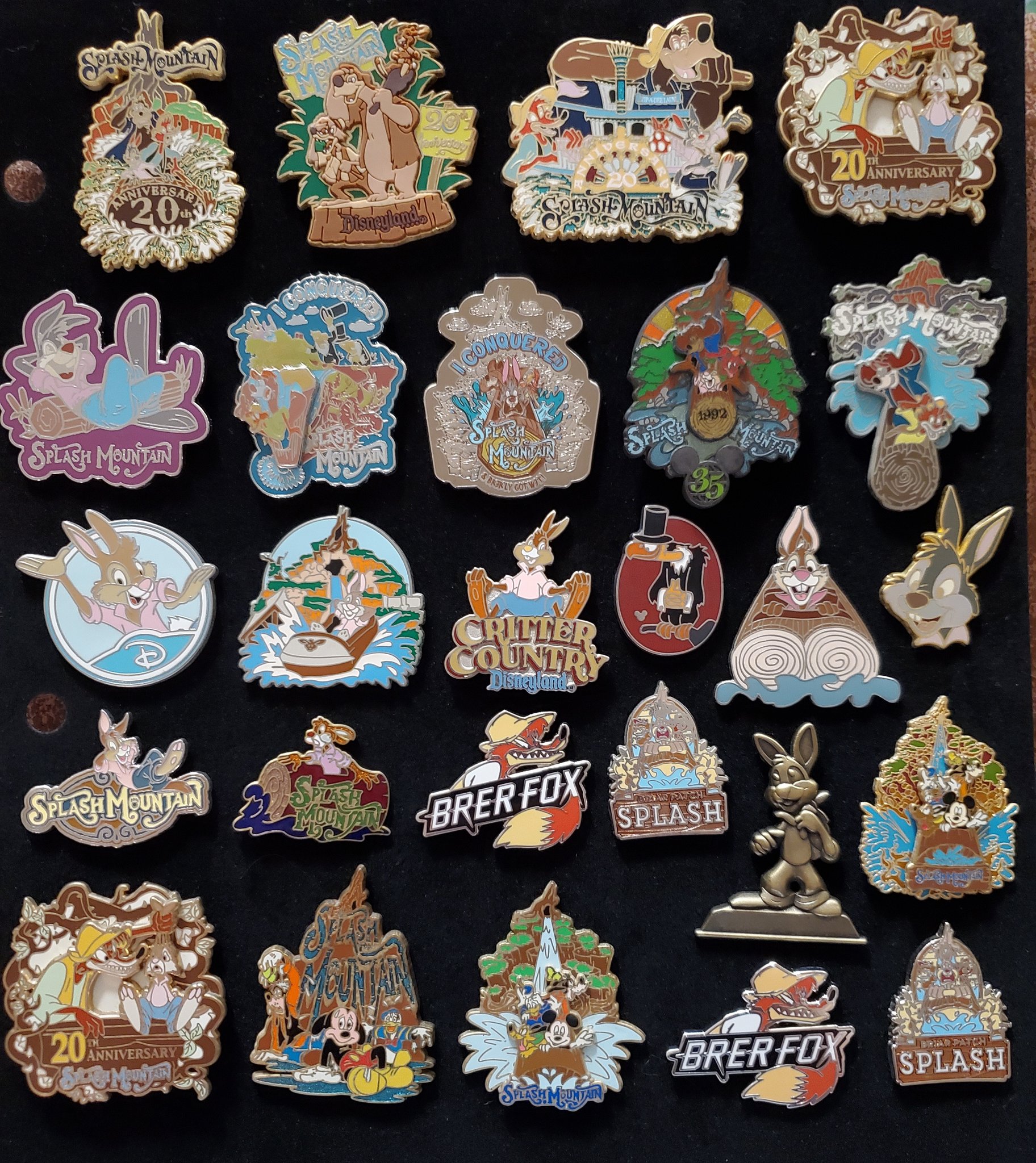 splashmountainpins